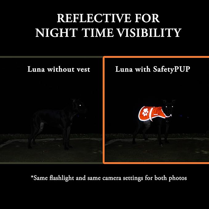 SafetyPUP XD Reflective Dog Vest. Hi-Visibility, Fluorescent Blaze Orange Dog Vest Helps Protect Your Best Friend. Safeguard Your PUP from Motorists & Hunting Accidents, On or Off Leash (Medium)
