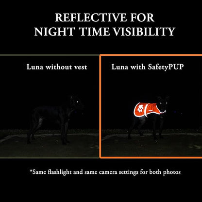 SafetyPUP XD Reflective Dog Vest. Hi-Visibility, Fluorescent Blaze Orange Dog Vest Helps Protect Your Best Friend. Safeguard Your PUP from Motorists & Hunting Accidents, On or Off Leash (Medium)