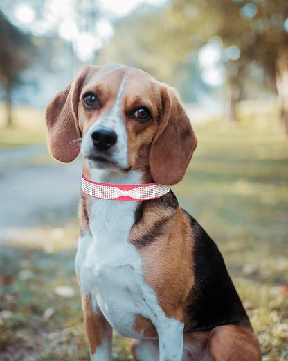 Bling Dog Collar for Small Medium Large Dogs, Crown Rhinestone Dog Collars for Girl and boy Dog, Diamond Puppy Collars, Adjustable Leather Suede SOFE Cat Collar (L(15"-18.1"/38CM-46CM), Rose Red2)