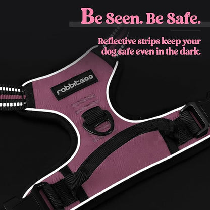 rabbitgoo Dog Harness No Pull with 2 Leash Clips, Adjustable Soft Padded, Reflective Oxford No Choke Pet Vest with Easy Control Handle for Medium Sized Dogs, Pink, M