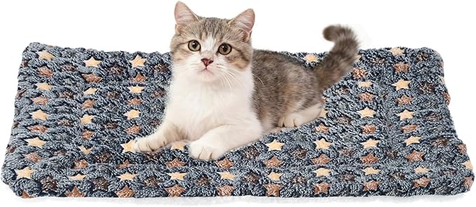Dog Cat Bed Mat, Soft Coral Fleece Pet Cushion Pad with Cute Star Print, Warm Washable Pet Bed 21x14 Inches, (Dark Gray), Intended for Medium Small Dog Cat