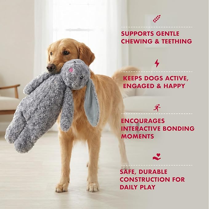 Pet Lou Floppy Rabbit Stuffingless Plush Dog Toy with Squeaker and Crinkle Paper, Dog Chew Toys, 19 Inch Durable Dog Toys for Medium and Large Dogs, Gray
