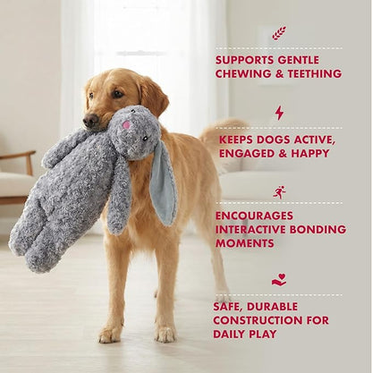 Pet Lou Floppy Rabbit Stuffingless Plush Dog Toy with Squeaker and Crinkle Paper, Dog Chew Toys, 19 Inch Durable Dog Toys for Medium and Large Dogs, Gray