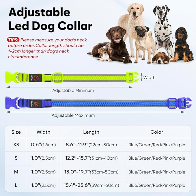 LED Dog Collar, Light Up Dog Collar USB Rechargeable, Brightest Dog Lights for Night Walking, Adjustable Dog Collar Light for Dog Safety(Small, Royal Blue)