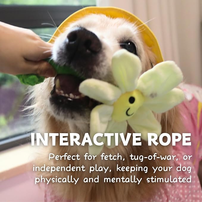 Interactive Puppy Plush Toys - Crinkle Flower Rope Toy, Chew Toys for Teething for Small & Medium Dogs