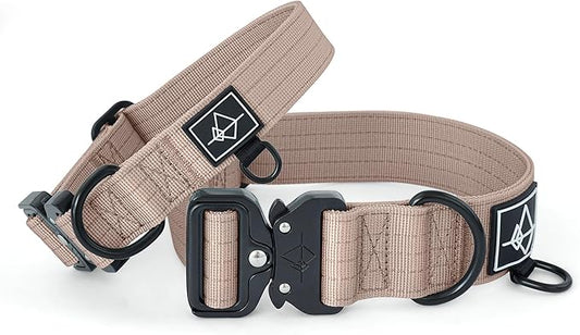 Made to ROAM Premium Dog Collar - Adjustable Heavy Duty Nylon Collar with Quick-Release Metal Buckle (Utah Glow, Classic Size 3)