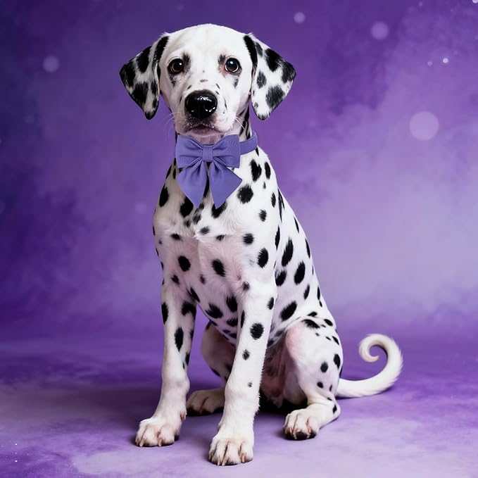 Maca Bates Purple Dog Collar with Cute Petunia Solid Sailor Bow Tie,Extra Large Girl Boy Dogs,Girly Adjustbale Durable Breakaway Soft Collars with Bowtie for Female Male Puppy,Pet with Metal Buckle