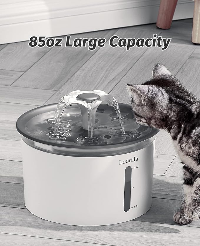 Loomla Cat Water Fountain, 85oz/2.5L Pet Water Fountain Indoor, Automatic Dog Water Dispenser with Switchable LED Lights, 2 Replacement Filters for Cats, Dogs, Pets (Dark Gray)
