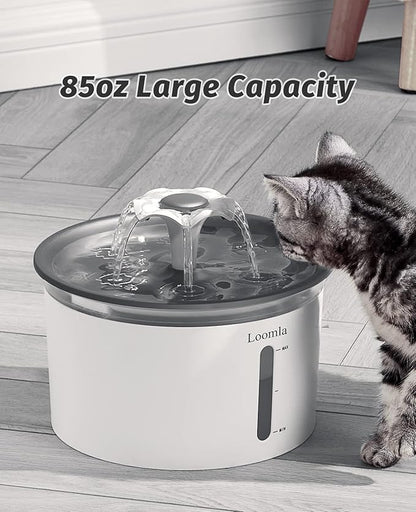 Loomla Cat Water Fountain, 85oz/2.5L Pet Water Fountain Indoor, Automatic Dog Water Dispenser with Switchable LED Lights, 2 Replacement Filters for Cats, Dogs, Pets (Dark Gray)