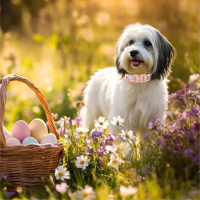 Easter Dog Collar, Colorful Bunny Easter Collars for Large Dogs, Cute Spring Boy Girl Dog Collars, Adjustable Heavy Duty Holiday Pet Collar with Metal Buckle L