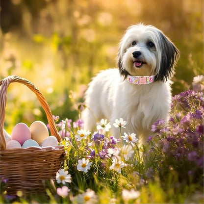 Easter Dog Collar, Colorful Bunny Easter Collars for Puppy Small Dogs, Cute Spring Boy Girl Dog Collars, Adjustable Heavy Duty Holiday Pet Collar with Metal Buckle XS