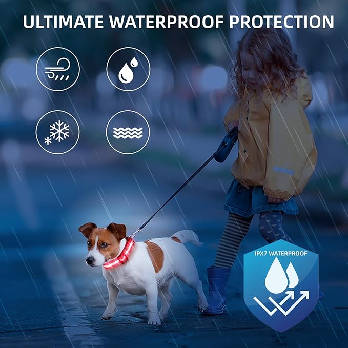 LED Dog Collar for Small Dogs Cats - Fully Waterproof & Adjustable Glow Collar - USB-C Rechargeable for Night Walking, Safety - Flashing Lighted Collar for Dogs(Red,S)