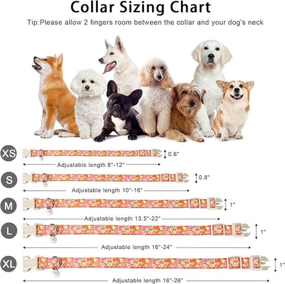 ARING PET Spring Summer Dog Collar, Cute Daisy Wildflower Floral Blossom Pet Collars for Small Medium Large Girl Dogs-L Size