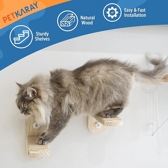 PETKARAY Cat Window Perch, Foldable Cat Hammock for Window, Stable Window Shelves for Indoor Cats, Set Includes 2 Pack of Window Stairs