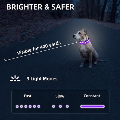 Super Bright LED Dog Collar - Fully Waterproof & Adjustable Glow Collar - USB-C Rechargeable for Night Walking, Safety - Flashing Lighted Collar for Dogs(Purple,Small)
