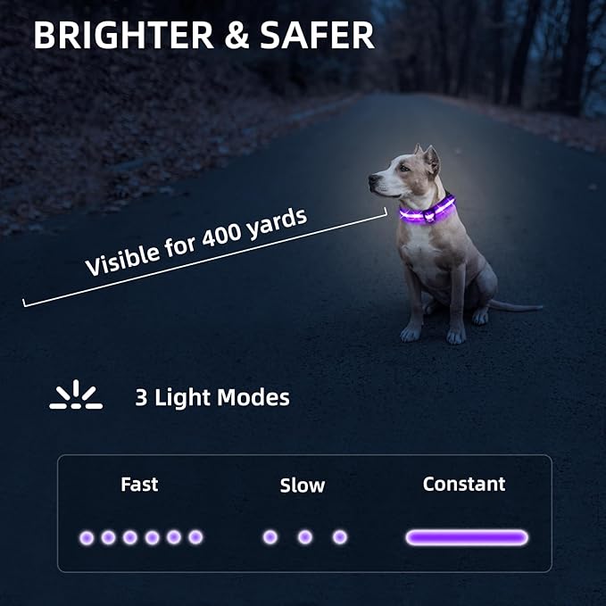LED Dog Collar for Small Dogs Cats - Fully Waterproof & Adjustable Glow Collar - USB-C Rechargeable for Night Walking, Safety - Flashing Lighted Collar for Dogs(Purple,XS)