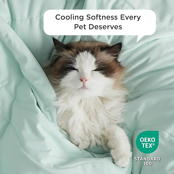 Bedsure Premium Cooling Blanket for Small Dog - Q-MAX>0.5, Breathable Summer Washable Cold Pet Throw Blanket, Soft Durable Self Cooling Cat Mat for Hot Weather, Turquoise Green, 25x35
