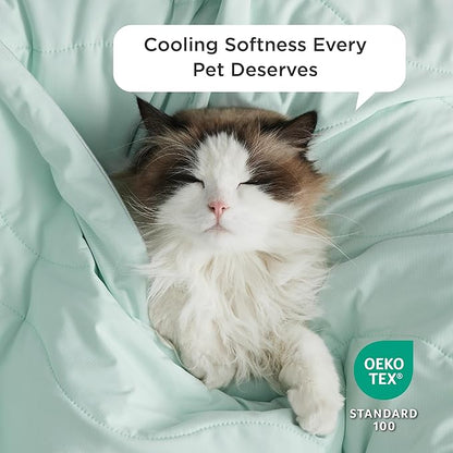 Bedsure Premium Cooling Blanket for Small Dog - Q-MAX>0.5, Breathable Summer Washable Cold Pet Throw Blanket, Soft Durable Self Cooling Cat Mat for Hot Weather, Turquoise Green, 25x35