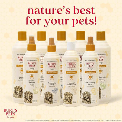 BURT'S BEES FOR PETS Paw & Nose Lotion for Dogs with Manuka Honey and Olive Oil, Soothes Dry Dog Paws -Naturally Derived Ingredients, 6 Oz