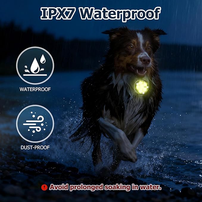 1-Pack Dog Collar Light, Fyorbietail 2025 Upgraded 8 Changing Rechargeable Dog Light with Durable Silicone Band, IPX7 Waterproof Collar Lights for Nightwalking, Hiking