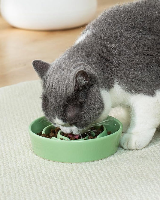 TRUVIC Ceramic Slow Feeder Dog Bowls Small Breed, 0.6 Cup Slow Feeder Cat Bowls for Fast Eaters, Ceramic Dog Food Dish no Black Chin, Puzzle Bowl for Small Dogs and Cats, Green