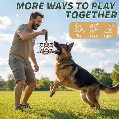 Interactive Dog Ball Toys, 2026 Dog Soccer Ball with Thicken Straps for Small Medium Breeds Tug of War, Small Herding Balls with Pump for Puppy Dogs Outdoor Play Training (Black, 6 Inch)