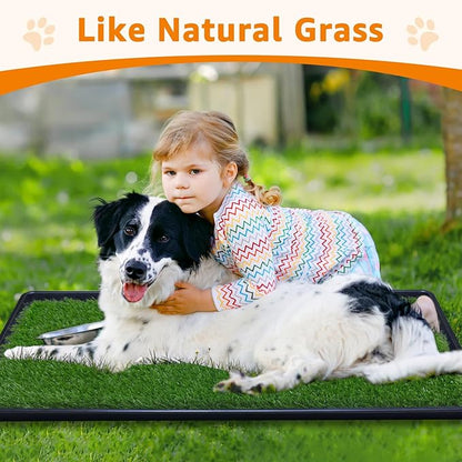 LOOBANI Large Dog Grass Pad with Tray - 35x23in Dog Litter Box with 2-Pack Replacement Artificial Grass Puppy Training Pads - Potty Tray for Balcony Apartment Indoor Outdoor Use
