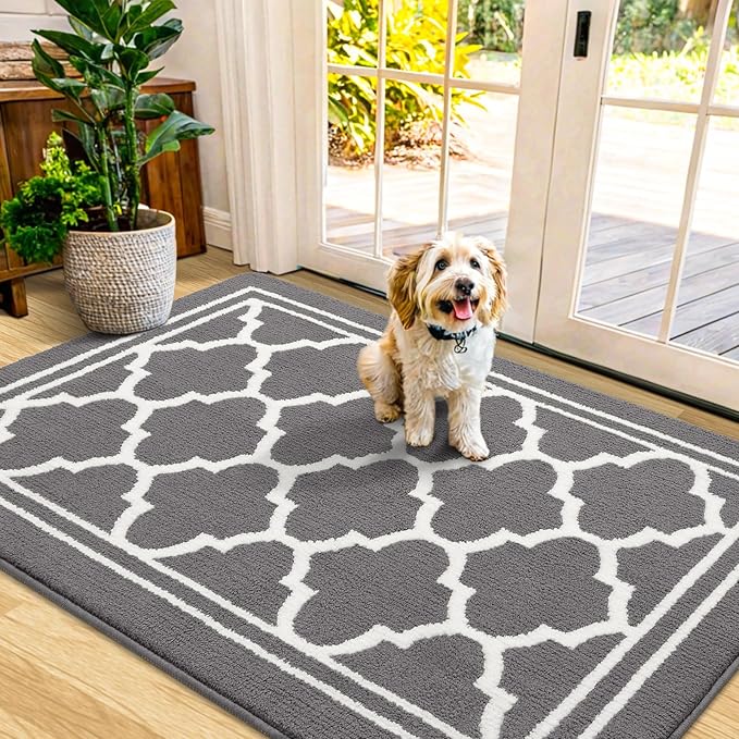 Buganda Indoor Door Mat, Dirt-Resistant and Absorbent Doormat, Anti-Slip, Low Profile Floor Mats for Inside Entryway, Front, and Back Door Entrance (48x32 Inches, Grey)