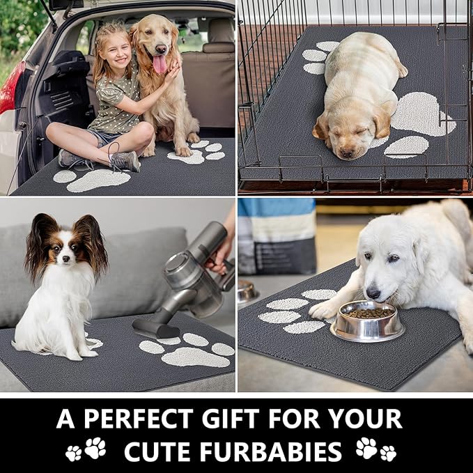 FONEYI Indoor Door Mat, 24"x36" Dog Mats for Muddy Paws, Rubber Backing Non Slip Super Absorbent Washable Entryway Rug, Low-Profile Front Back Door Mats, Inside Floor Doormats for Entryway, Dark Grey