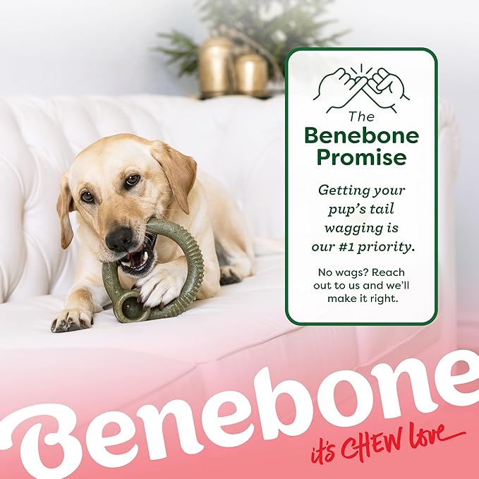 Benebone Peppermint Ring – Limited Edition Holiday Flavor, Durable Chew Toy for Aggressive Chewers, Made in USA, Small