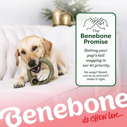 Benebone Peppermint Ring – Limited Edition Holiday Flavor, Durable Chew Toy for Aggressive Chewers, Made in USA, Medium