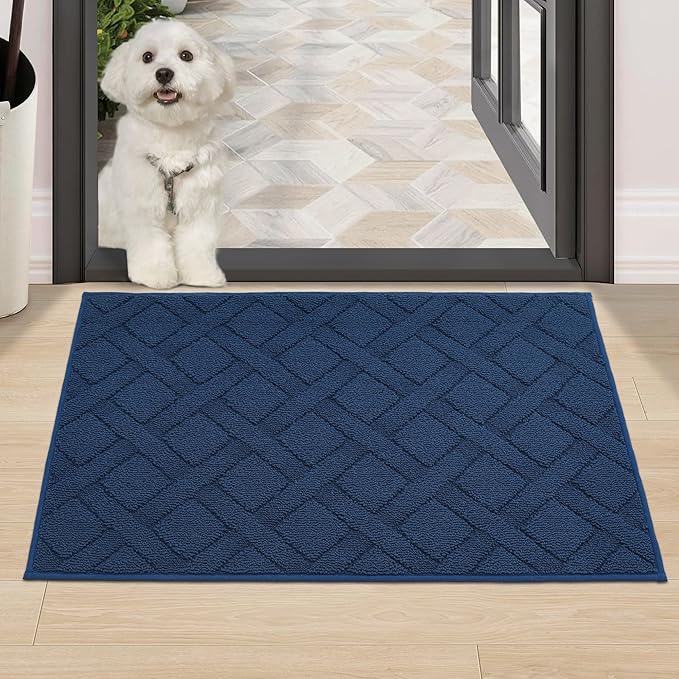 COSY HOMEER Door Mat Indoor Entrance, Non-Slip Absorbent Doormat for Front Door, Low-Profile Entryway Mat for Dirty Paws, Washable Dirt Trapper Mats (24"x36", Blue)