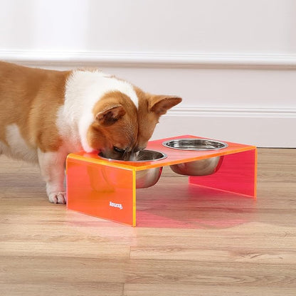 The LICKER Store DBL2000E Keaton 5" Small/Medium Modern Acrylic Rectangular Elevated Pet Feeder with 20oz 2-Stainless Steel Bowls, Pink/Chrome