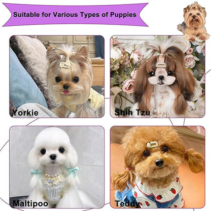 Gentle Grooming Puppy Brush with Gift Box ， Fit for Small Dog ， Yorkie, Shih Tzu, Maltipoo, Maltese and Pomeranian ，Toy Poodle Accessories, Soft Bristle (Electroplating Purple)