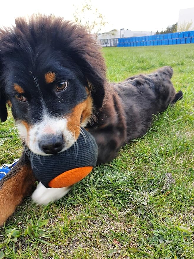 Dingo Gear French Linen Ball for Dog Training, as Reward for Fetch tug of war, with Long Handle, Handmade, Orange-Black S02814