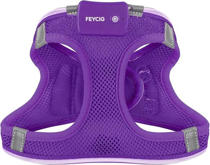 Light Up Dog Harness,Rechargeable LED Dog Harness for Small Medium Large Dogs,Reflective Lighted Safety Vest for Night Walking & Camping,Lightweight & Adjustable,Purple,S