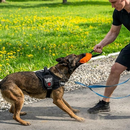 Dingo Gear Dog Tug Toy for Strong Dog, Bite Training, IGP, Fun, French Linen Disc, 5,5" Orange Berta S00092