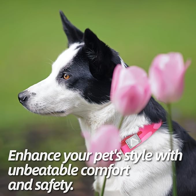 Soft Padded Dog Collar, Neck 9’’-14’’, Adjustable Heavy Duty Collar with 3M Reflective Logo for Small Dogs, Camo Pink, S