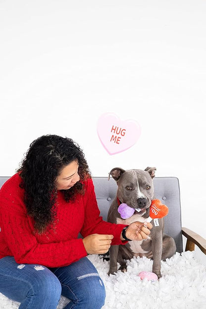 Pearhead Valentine’s Day Plush Squeaky Dog Toys – Candy Popsicle Dog Toy Set, Soft Chew Interactive Toys for Dogs, Set of 3