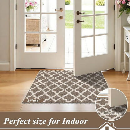 U'Artlines Indoor Door Mat 2×3 ft, Non-Slip Washable Doormats, Dirt Resistant Absorbent Low Profile Floor Mats and Rugs for Front Back Door, Entryway