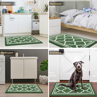 Buganda Indoor Door Mat, Dirt-Resistant and Absorbent Doormat, Anti-Slip, Low Profile Floor Mats for Inside Entryway, Front, and Back Door Entrance (36x24 Inches, Green)