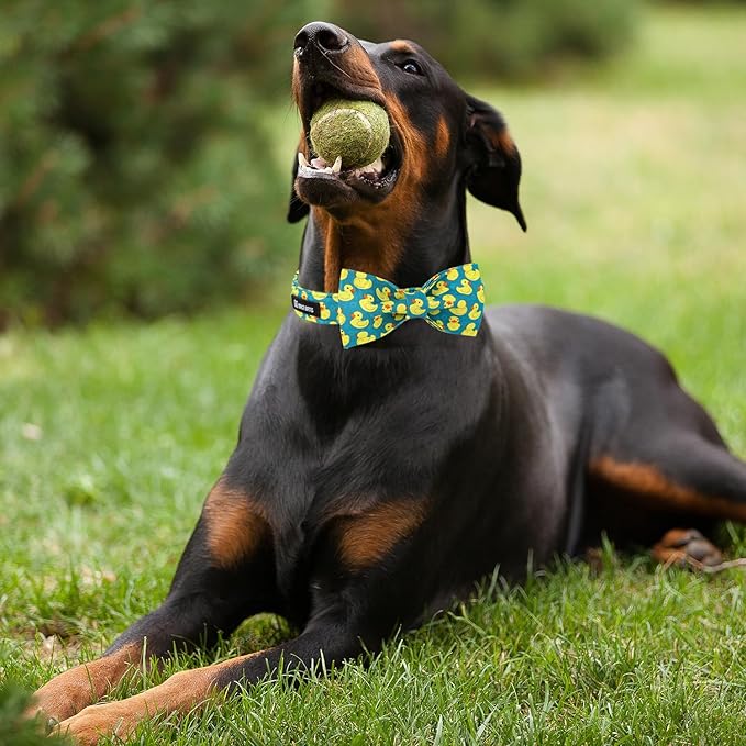 Maca Bates Summer Cute Duck Dog Collar with Bow Tie Funny Ducky Puppy Bowtie Collars Adjustable Durable Breakaway Green Fun Fancy Thick Collar for Boy Girl Male Female Dogs,Large
