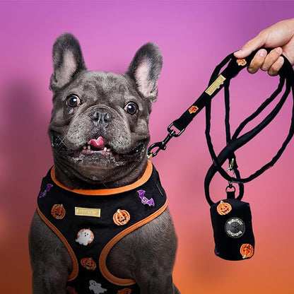 Dog Poop Bag Holder with Clip, Stylish Doggy Waste Bag Dispenser for Dog Leash, Durable Portable Poop Bag Carrier No Include Poop Bag Inside