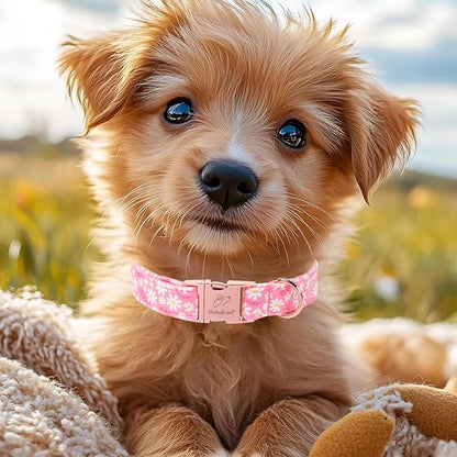 Dainty Daisy Dog Collar, Spring/Summer Pink Floral Girl Dog Collars, Adjustable Heavy Duty Cottagecore Female Dogs Collar for Small Medium Large Dogs with Metal Buckle M