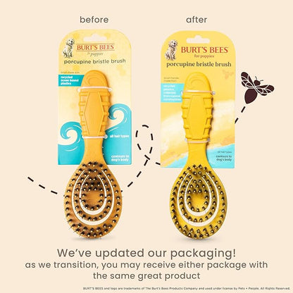 Burt’s Bees for Pets Porcupine Bristle Brush for Puppies and Small Dogs with Handle Made from Recycled Plastics Collected from Coastal Communities | Flex-head Grooming Brush for Dogs