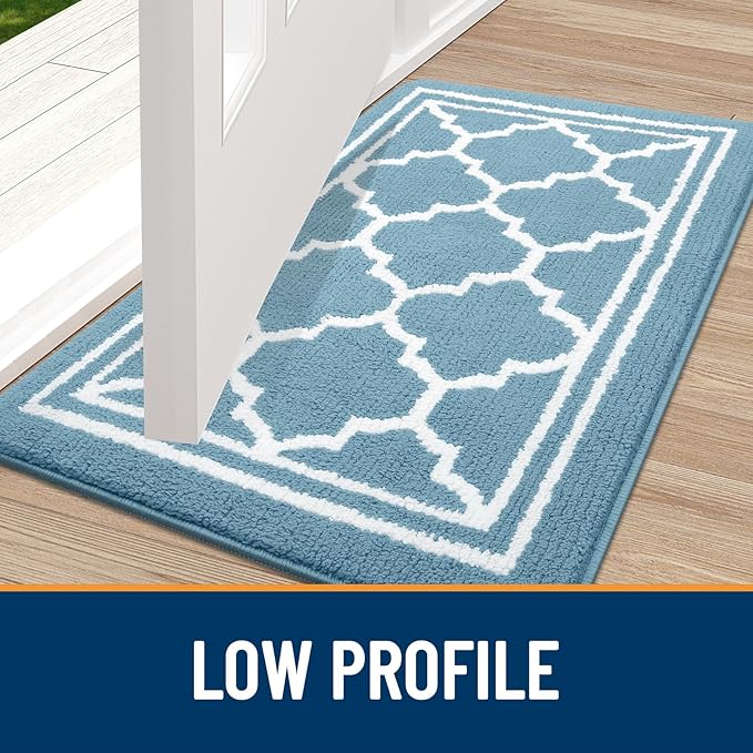 Buganda Indoor Door Mat, Dirt-Resistant and Absorbent Doormat, Anti-Slip, Low Profile Floor Mats for Inside Entryway, Front, and Back Door Entrance (32x20 Inches, Lake Blue)
