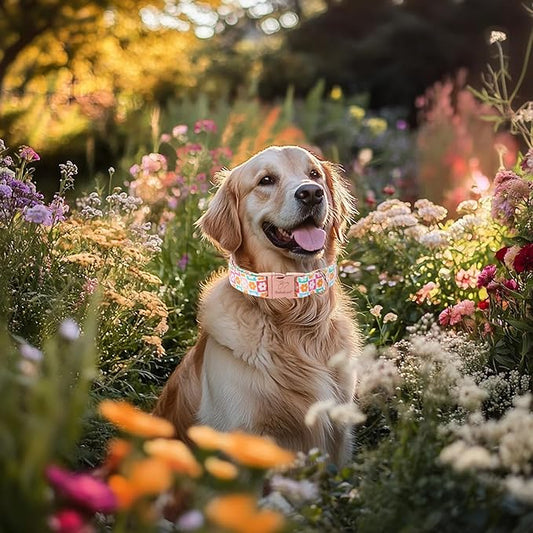 Spring Dog Collar, Pastel Checkered Flowers Pet Collar with Metal Buckel, Durable Adjustable Designer Dog Collars for Small Medium Large Dogs XL