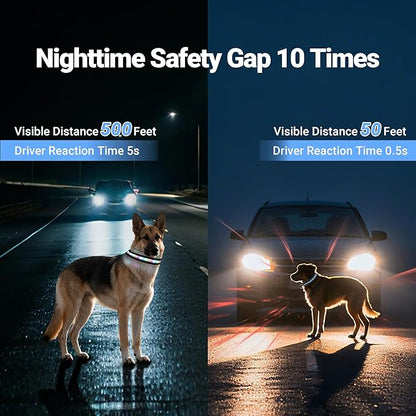 Light Up Dog Collar, USB Rechargeable, Waterproof LED Dog Collar with Remote Control, Adjustable Night Safety Pet LED Collar, Suitable for Small, Medium, and Large Dogs (S)