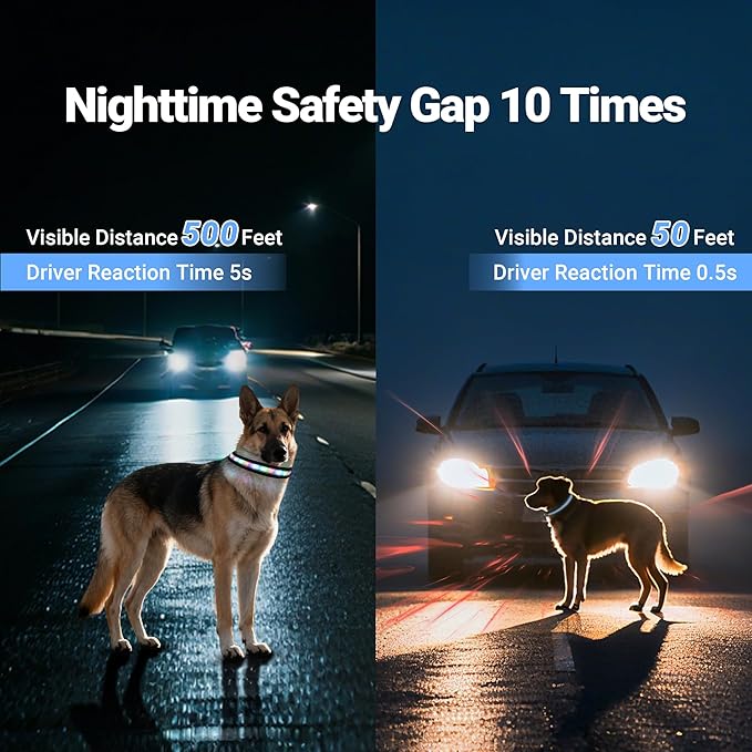 Light Up Dog Collar, USB Rechargeable, Waterproof LED Dog Collar with Remote Control, Adjustable Night Safety Pet LED Collar, Suitable for Small, Medium, and Large Dogs (L)