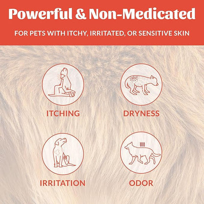 Skout's Honor Probiotic Itch Relief Shampoo for Pets - Non-Medicated, Fragrance-Free, Paraben & Sulfate-Free, with Avocado Oil & Omega 3's, 8oz, 2-Pack